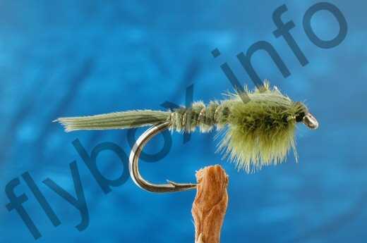 Collyer's Green Nymph